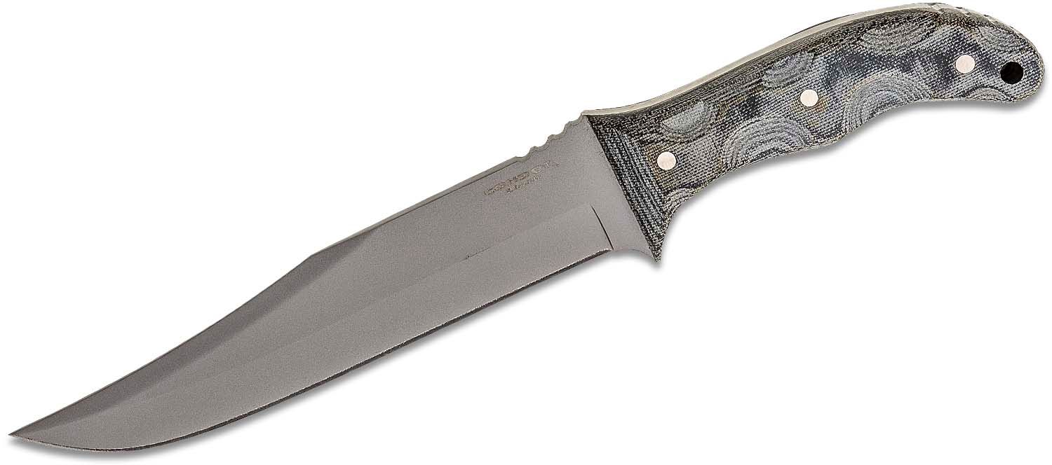 CONDOR BELGIAN BOWIE